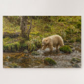 White Spirit Bear jagt Fische auf Riordan Creek Puzzle (Horizontal)