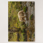 White Spirit Bear jagt Fische auf Riordan Creek Puzzle (Vertikal)