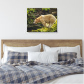 White Spirit Bear Leinwanddruck (Insitu (Schlafzimmer))