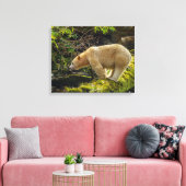 White Spirit Bear Leinwanddruck (Insitu (Wohnzimmer))