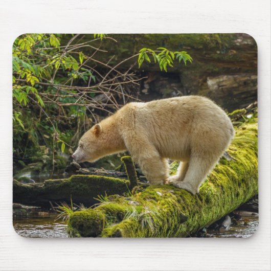 White Spirit Bear Mousepad (Vorne)