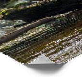 White Spirit Bear Poster (Ecke)