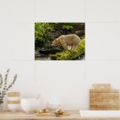 White Spirit Bear Poster (Küche)