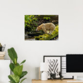 White Spirit Bear Poster (Heimbüro)