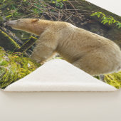 White Spirit Bear Sherpadecke (3/4)