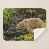 White Spirit Bear Sherpadecke (Vorderseite (Horizontal))