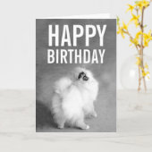 White Spitz Happy Birthday Card Karte (Gelbe Blume)