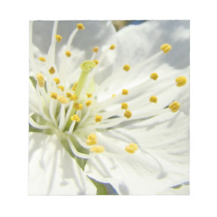 White Spring Blossom Notizblöcke nach Maß