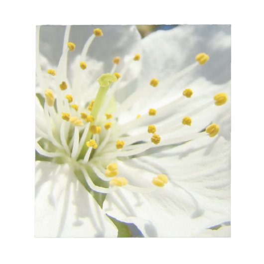 White Spring Blossom Notizblöcke nach Maß (Vorderseite)