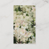 White Spring blüht Fotografie Business Card Visitenkarte (Rückseite)