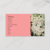 White Spring blüht Fotografie Business Card Visitenkarte (Vorderseite)