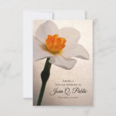 White Spring Daffodil gemeinsam mit einer Gedächtn Mitteilungskarte (Vorderseite)