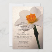White Spring Daffodil Wedding Einladung (Vorderseite)