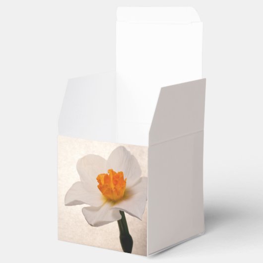 White Spring Daffodil Wedding Geschenkschachtel (Geöffnet)