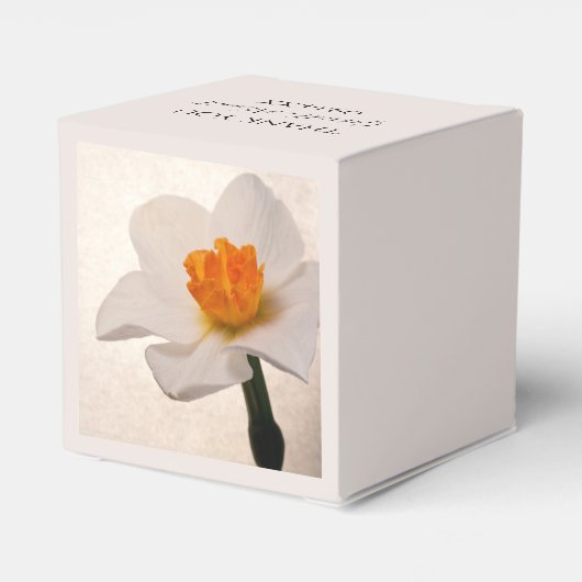 White Spring Daffodil Wedding Geschenkschachtel (Rückseite)