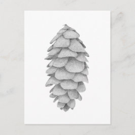 White Spruce Cone - Feiertag nach Karte