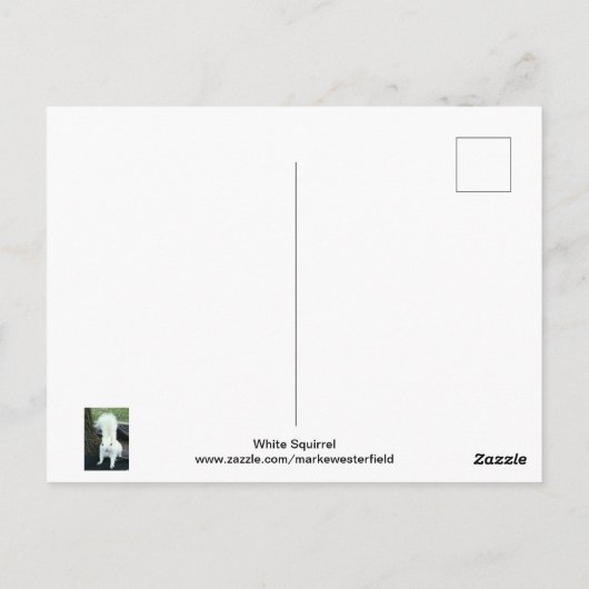 White Squirrel Postkarte (Rückseite)
