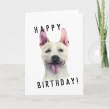 White Staffordshire Bull Terrier Dog | Geburtstag