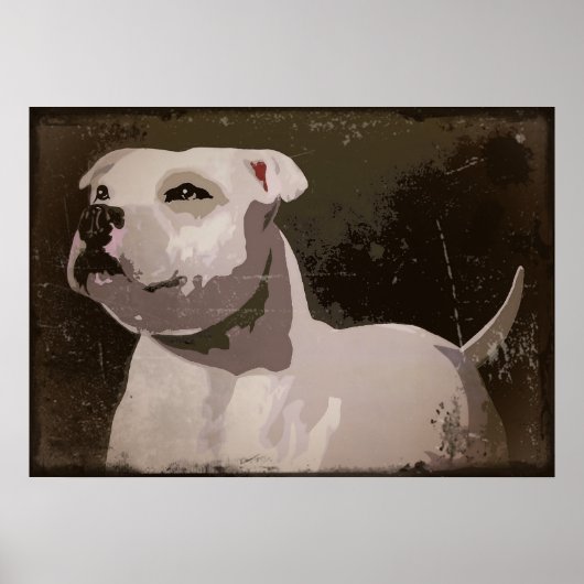 White Staffordshire Bull Terrier urbaner Hintergru Poster (Vorne)