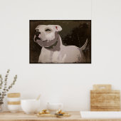 White Staffordshire Bull Terrier urbaner Hintergru Poster (Küche)