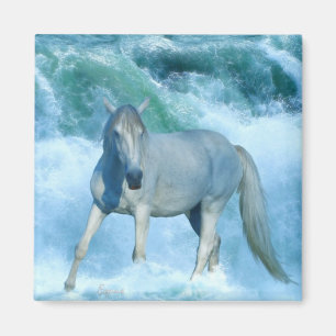 White Stallion & Ocean Waves Equine Art Magnet