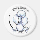 White Standard Poodle IAAM Magnet (Vorne)
