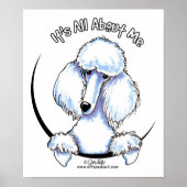 White Standard Poodle IAAM Poster (Vorne)