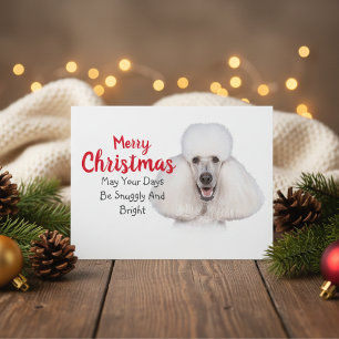 White Standard Poodle Weihnachtskarte Feiertagspostkarte