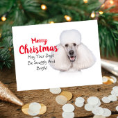 White Standard Poodle Weihnachtskarte Feiertagspostkarte