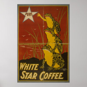 White Star Coffee Vintage Froschposter Poster