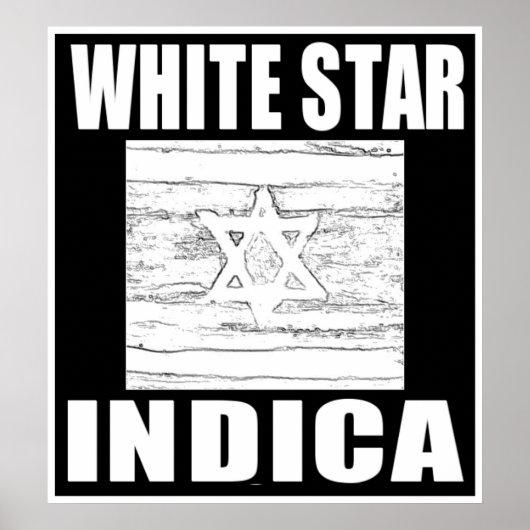 WHITE STAR INDICA POSTER (Vorne)