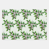 White Starfish n Holly Green Shades Geschenkpapier Set (Vorderseite)