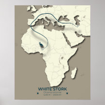 White Stork Migration Map - Minimalistisch Vintage
