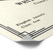 White Stork Zoology Series Poster (Ecke)