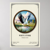White Stork Zoology Series Poster (Vorne)