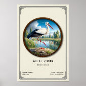 White Stork Zoology Series Poster (Vorne)