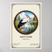 White Stork Zoology Series Poster (Vorne)