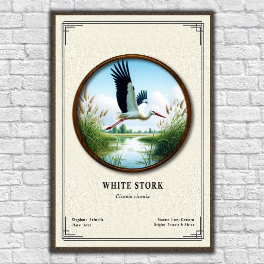 White Stork Zoology Series Poster