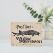 White Sturgeon-Gyotaku Antique Postcard Postkarte (Stehend Vorderseite)
