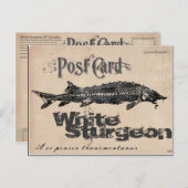 White Sturgeon-Gyotaku Antique Postcard Postkarte (Vorne/Hinten)