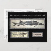 White Sturgeon Gyotaku Collage Card Postkarte (Vorne/Hinten)