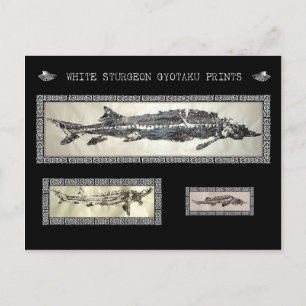 White Sturgeon Gyotaku Collage Card Postkarte