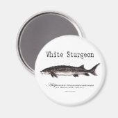 White Sturgeon Titled Items Magnet (Vorderseite/Rückseite)