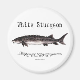 White Sturgeon Titled Items Magnet