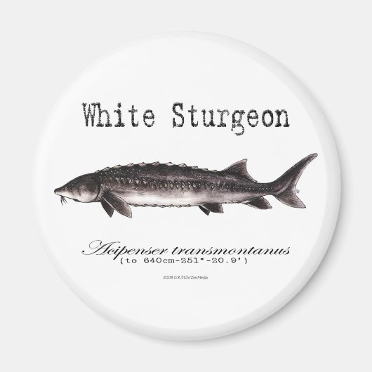 White Sturgeon Titled Items Magnet (Vorne)