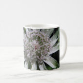 White Summer Blume Kaffeetasse (VorderseiteRechts)
