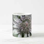White Summer Blume Kaffeetasse (Mittel)