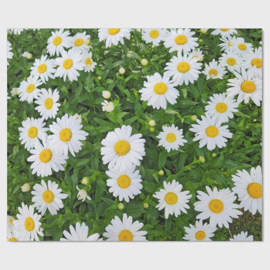 White Summer Daisy Garden Geschenkpapier (Flach)