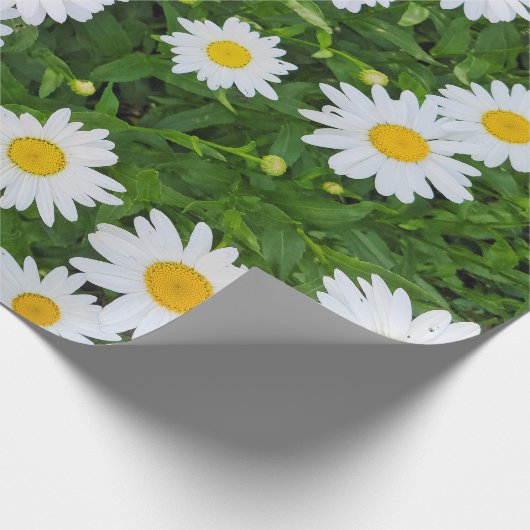 White Summer Daisy Garden Geschenkpapier (Ecke)