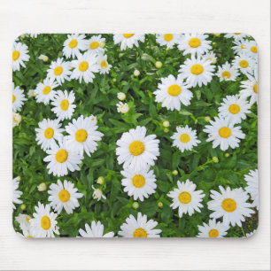 White Summer Daisy Garden Mousepad